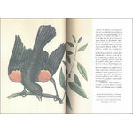 LA SABIDURIA DE LAS AVES_1