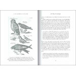 LA SABIDURIA DE LAS AVES 3