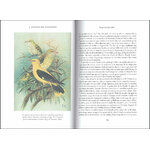 LA SABIDURIA DE LAS AVES 4