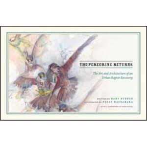 THE PEREGRINE RETURNS. THE ART AND ARCHITECTURE OF AN URBAN RAPTOR RECOVERY