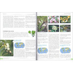 PLANTS OF THE WORLD. AN ILLUSTRATED ENCYCLOPEDIA OF VASCULAR PLANT FAMILIES 3