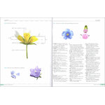 PLANTS OF THE WORLD. AN ILLUSTRATED ENCYCLOPEDIA OF VASCULAR PLANT FAMILIES 4