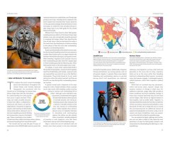 NATIONAL GEOGRAPHIC FIELD GUIDE TO THE BIRDS OF THE UNITED STATES AND CANADA 2
