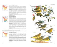 NATIONAL GEOGRAPHIC FIELD GUIDE TO THE BIRDS OF THE UNITED STATES AND CANADA 5
