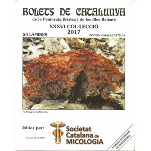 COL·LECCIÓ DE BOLETS DE CATALUNYA. VOLUM XXXVI