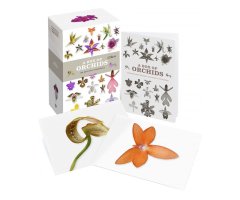A BOX OF ORCHIDS. 100 BEAUTIFUL POSTCARDS