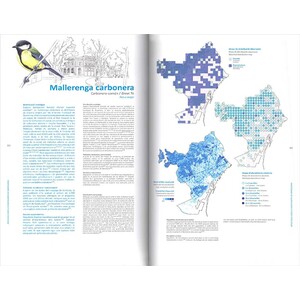 ATLES DELS OCELLS NIDIFICANTS DE BARCELONA. ATLAS DE LAS AVES NIDIFICANTES DE BARCELONA. BARCELONA BREEDING BIRD ATLAS._1