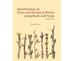 IDENTIFICATION OF TREES AND SHRUBS IN WINTER USING BUDS AND TWIGS