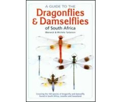 A GUIDE TO THE DRAGONFLIES & DAMSELFLIES OF SOUTH AFRICA
