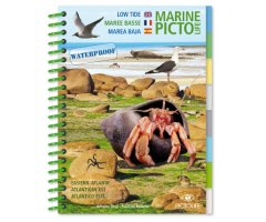 MARINE PICTOLIFE. LOW TIDE. MAREE BASSE. MAREA BAJA