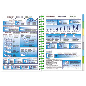 MARINE PICTOLIFE. LOW TIDE. MAREE BASSE. MAREA BAJA_1