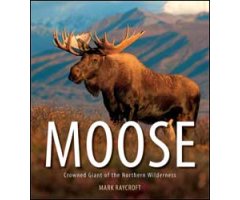 MOOSE. CROWNED GIANT OF THE NORTHERN WILDERNESS