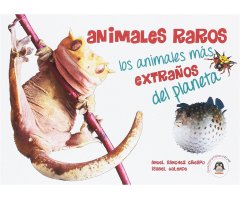 ANIMALES RAROS. LOS ANIMALES MÁS EXTRAÑOS DEL PLANETA