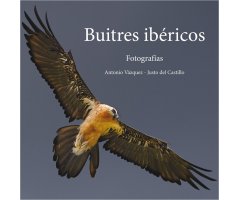 BUITRES IBÉRICOS. FOTOGRAFÍAS