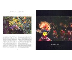 A BIRD PHOTOGRAPHER'S DIARY_1