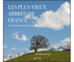 LES PLUS VIEUX ARBRES DE FRANCE