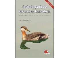 CUÁNDO Y DÓNDE VER AVES EN CANTABRIA. PROPUESTAS MES A MES PARA FAMILIAS, AFICIONADOS Y EXPERTOS
