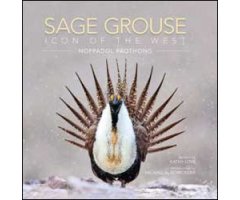SAGE GROUSE. ICON OF THE WEST