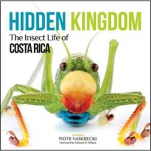 HIDDEN KINGDOM. THE INSECT LIFE OF COSTA RICA