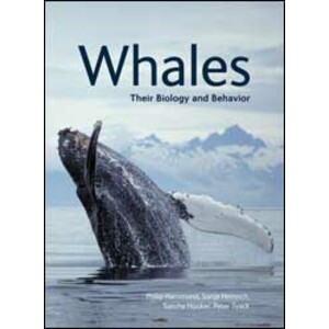 WHALES. THEIR BIOLOGY AND BEHAVIOR