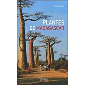 PLANTES DE MADAGASCAR