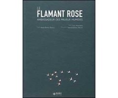LE FLAMANT ROSE, AMBASSADEUR DES MILIEUX HUMIDES