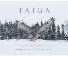 TAÏGA