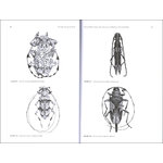 CERAMBYCIDAE OF THE WORLD: BIOLOGY AND PEST MANAGEMENT 2