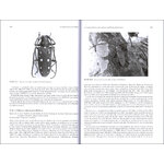 CERAMBYCIDAE OF THE WORLD: BIOLOGY AND PEST MANAGEMENT 4
