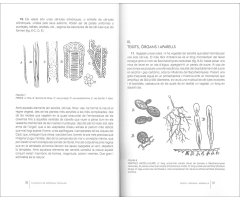 ELEMENTS DE BOTÀNICA POPULAR       2