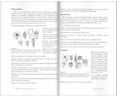 ELEMENTS DE BOTÀNICA POPULAR       3