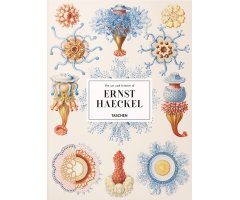 THE ART AND SCIENCE OF ERNST HAECKEL
