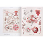 THE ART AND SCIENCE OF ERNST HAECKEL 3