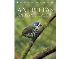 HELM IDENTIFICATION GUIDES. ANTPITTAS AND GNATEATERS