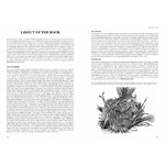HELM IDENTIFICATION GUIDES. ANTPITTAS AND GNATEATERS_1