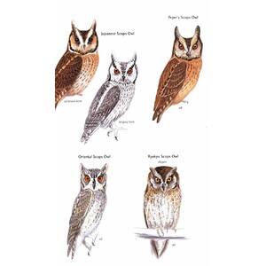 HELM FIELD GUIDES. BIRDS OF JAPAN 3