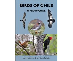 BIRDS OF CHILE. A PHOTO GUIDE