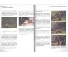 EL OSO. PIRINEOS Y CORDILLERA CANTÁBRICA. CUADERNO DE CAMPO Y CONSERVACIÓN 3