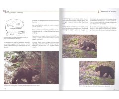 EL OSO. PIRINEOS Y CORDILLERA CANTÁBRICA. CUADERNO DE CAMPO Y CONSERVACIÓN 4