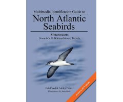 MULTIMEDIA IDENTIFICATION GUIDE TO NORTH ATLANTIC SEABIRDS. SHEARWATERS. JOUANIN'S & WHITE-CHINNED PETRELS