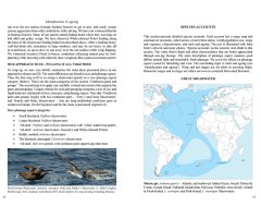 MULTIMEDIA IDENTIFICATION GUIDE TO NORTH ATLANTIC SEABIRDS. SHEARWATERS. JOUANIN'S & WHITE-CHINNED PETRELS 3