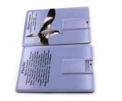 MULTIMEDIA IDENTIFICATION GUIDE TO NORTH ATLANTIC SEABIRDS. SHEARWATERS. JOUANIN'S & WHITE-CHINNED PETRELS 6
