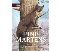 PINE MARTENS