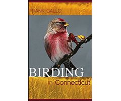 BIRDING IN CONNECTICUT