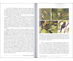 EL JUEGO DE LAS ESPECIES 3