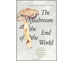 THE MUSHROOM AT THE END OF THE WORLD