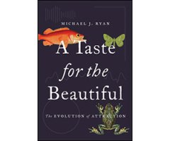 A TASTE FOR THE BEAUTIFUL. THE EVOLUTION OF ATTRACTION 
