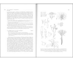 FLORA IBÉRICA. VOL. XVI (II) COMPOSITAE (PARTIM) 4