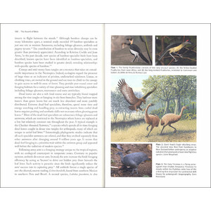 THE ASCENT OF BIRDS. HOW MODERN SCIENCE IS REVEALING THEIR STORY_1