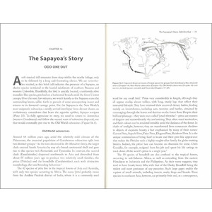 THE ASCENT OF BIRDS. HOW MODERN SCIENCE IS REVEALING THEIR STORY 4